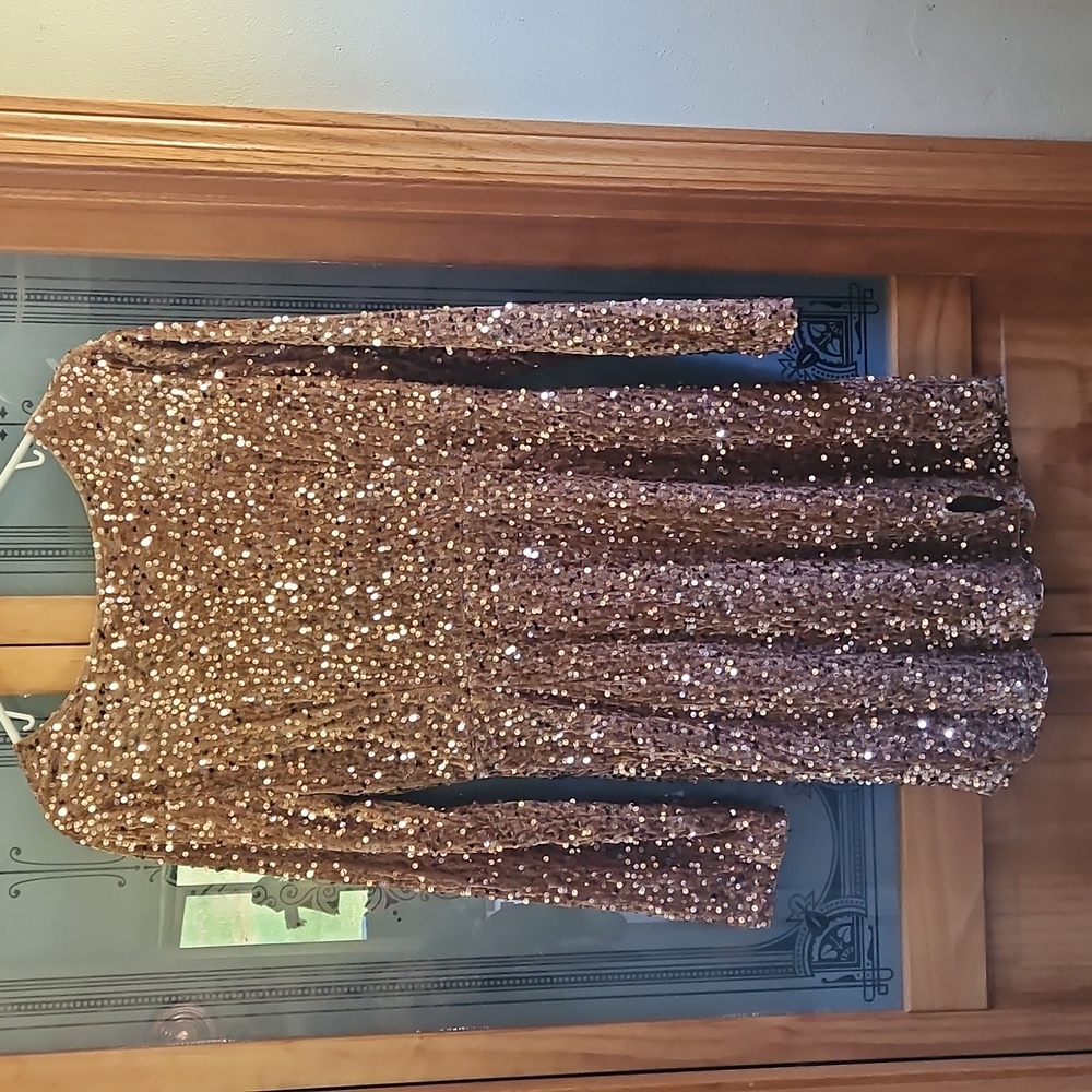 Sparkling Brown/Gold Sequin  Dress